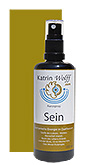SEIN
